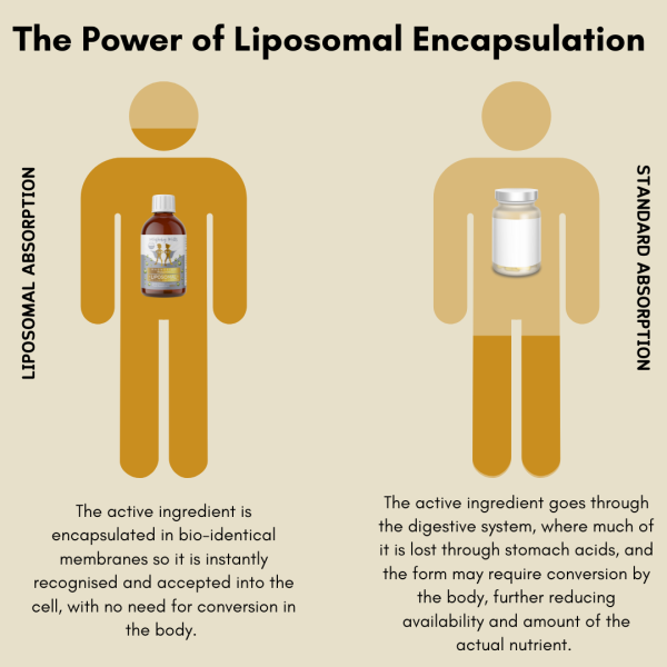 Multivitamin - Image 4