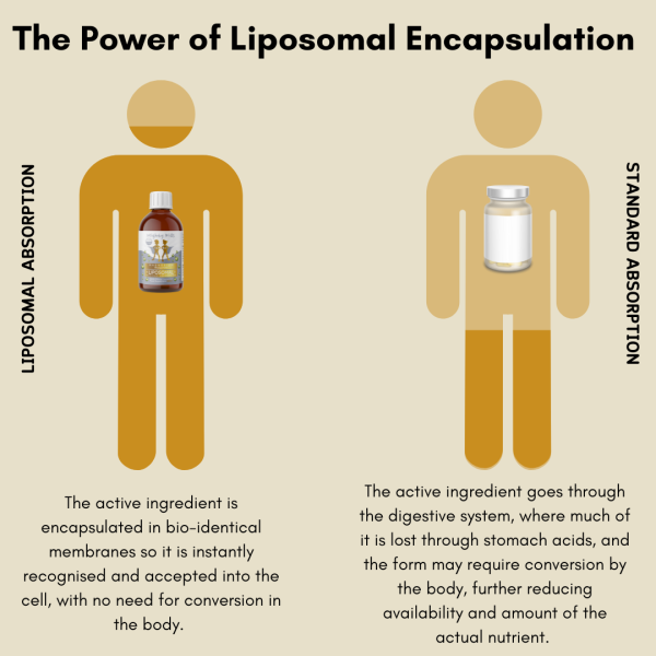 Liposomal Vitamin C - Image 6